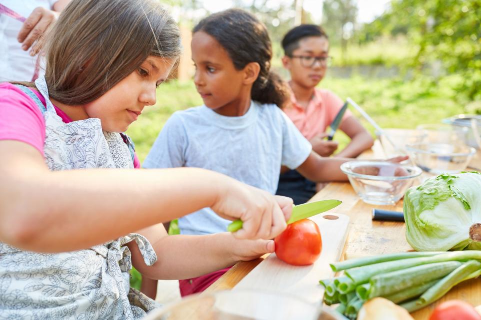 Children in cooking workshop child cutting tomatoes