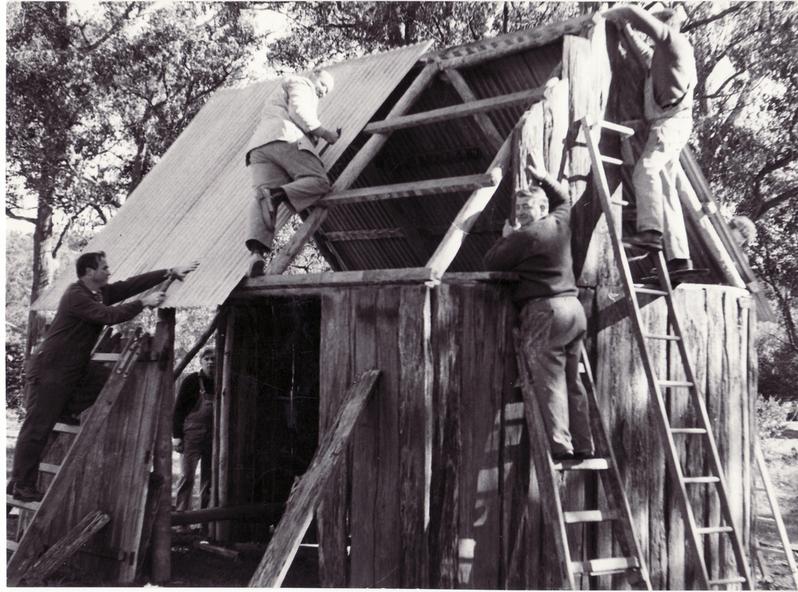 Black and white photo of men on ladders building a wooden shed