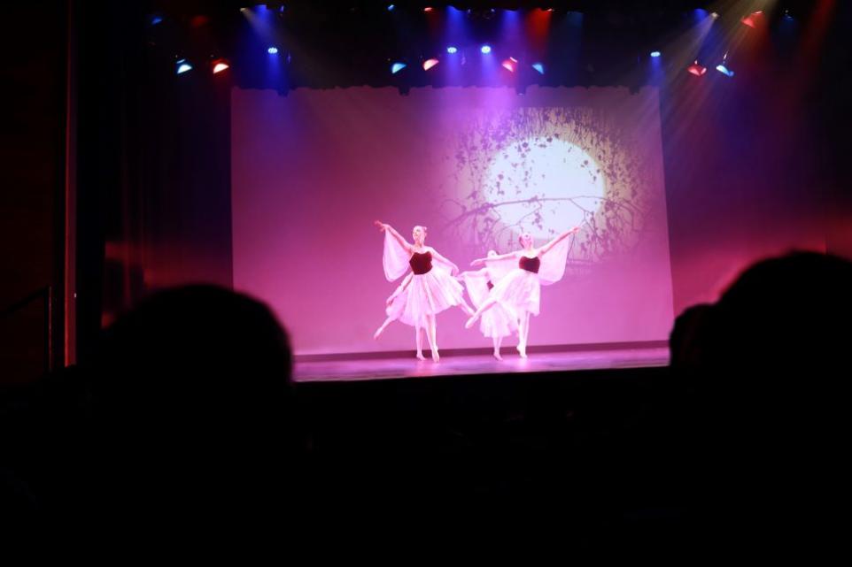 Ballet dancers dressed in pink performing on a stage