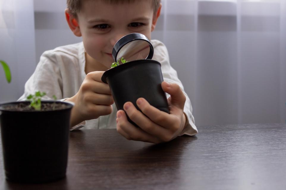 child looking through magnifying glass at a plant in a pot