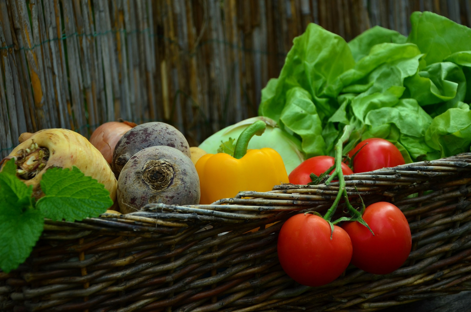 urban harvest