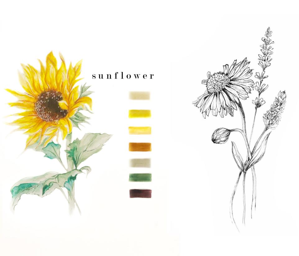 Sunflower illustration by Patricia Agus 