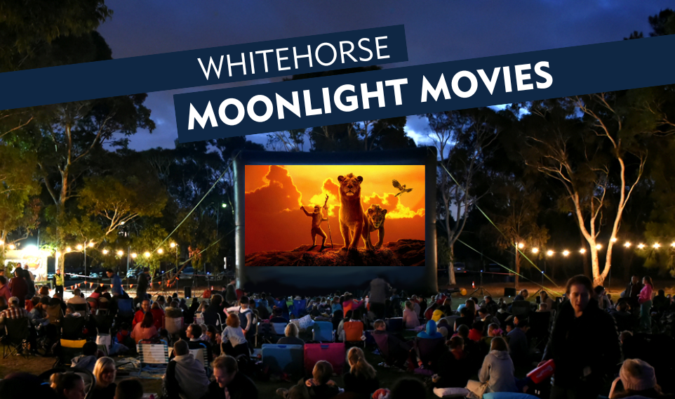 movie screen displaying lions with text advertising the movie night 