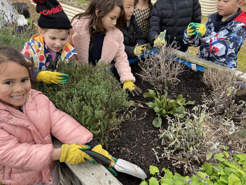 Children gardening at Strathdon House community Gardens