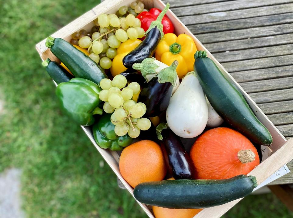 SHOP zero_waste_gardening