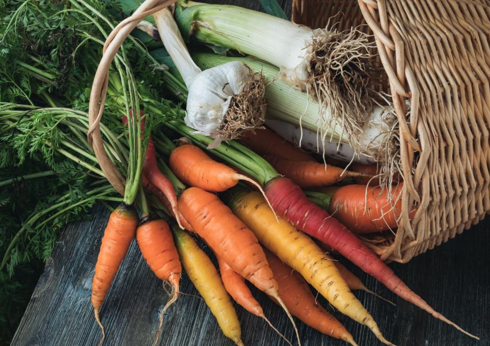 SHOP cooking_from_the_garden_winter_veggie