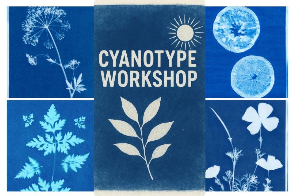 cyanotype blue and white image of flowers 