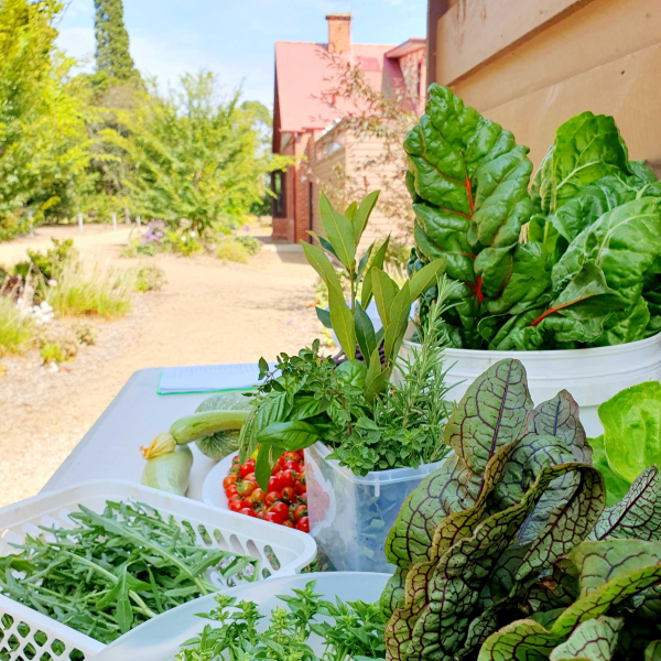 Image of a trestle table with fresh harvest from a kitchen garden with Strathdon House in the background