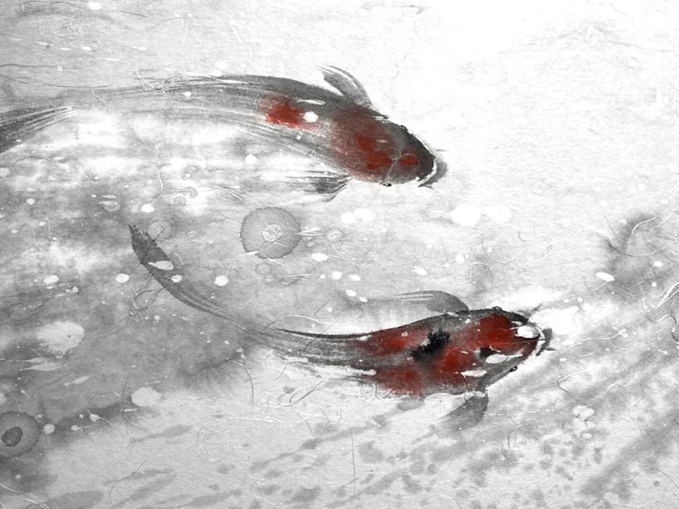 BHCAC koi_junko_azukawa