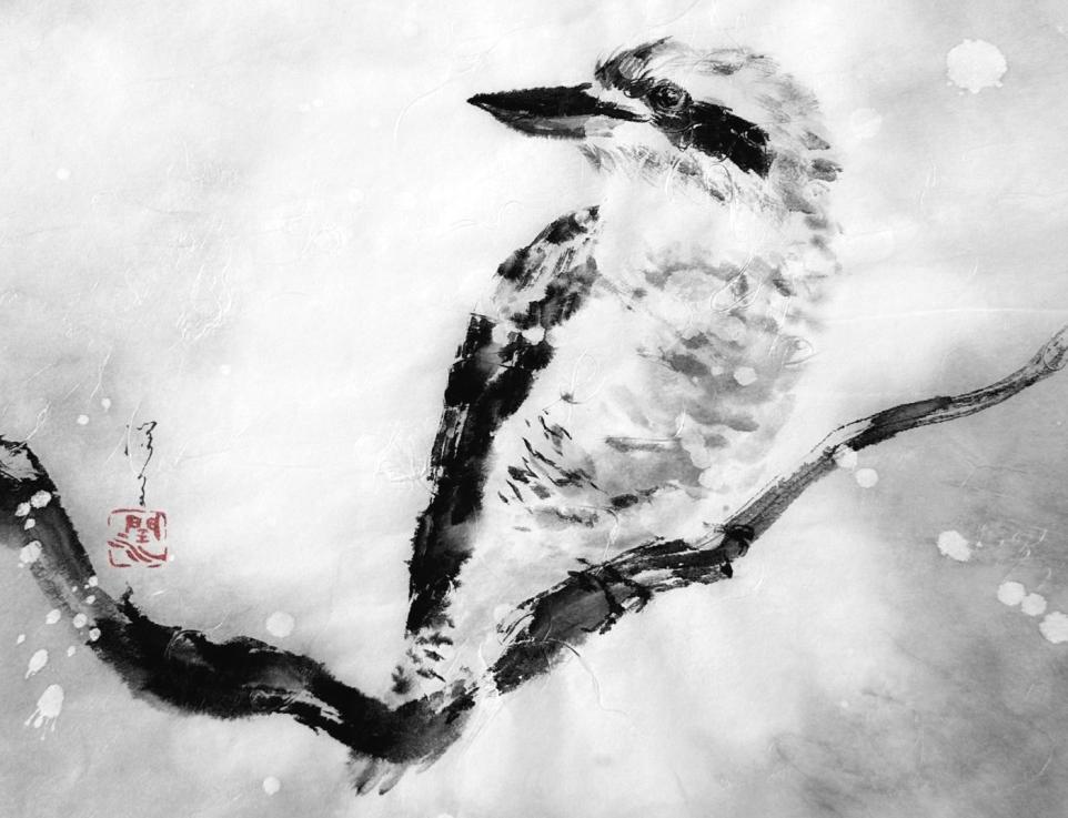 BHCAC kookaburra_junko_azukawa