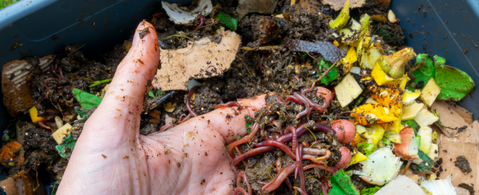 Composting made simple