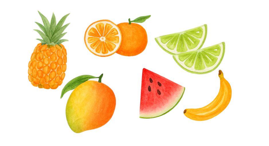 watercolour fruit illustration 