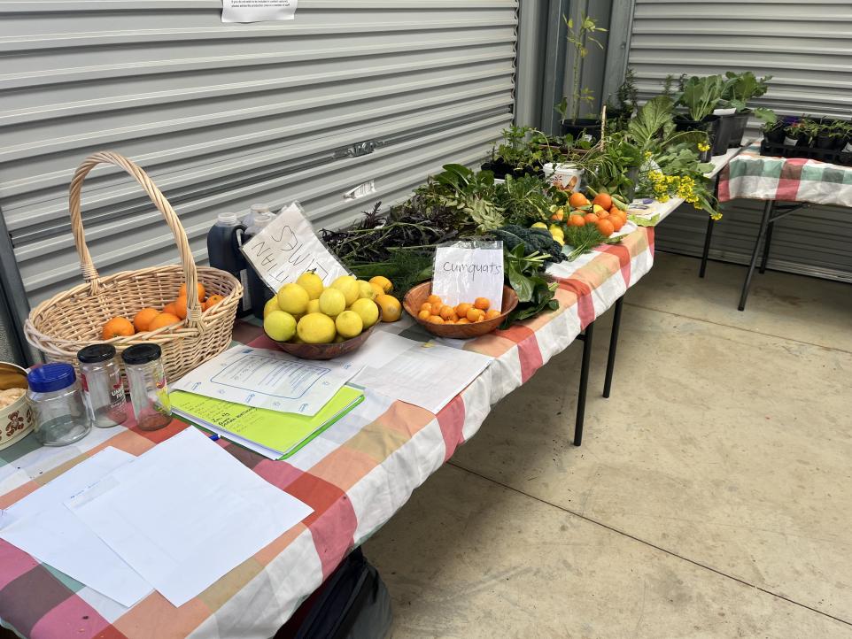 A photo of trestle tables with fresh vegetable and fruit produce covering the tables as a display