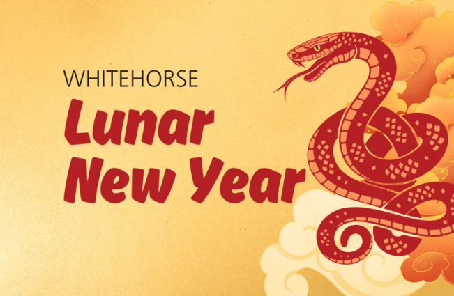 Lunar New Year Banner