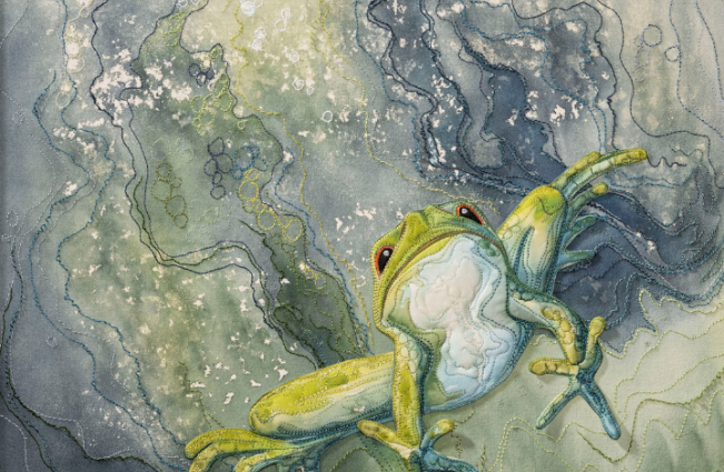 image of a frog