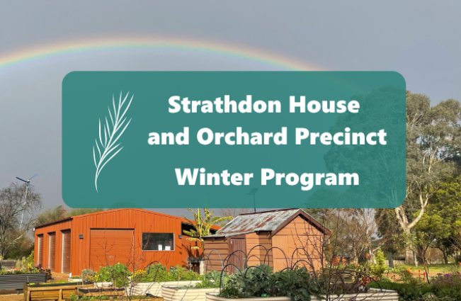 shop_winter_program