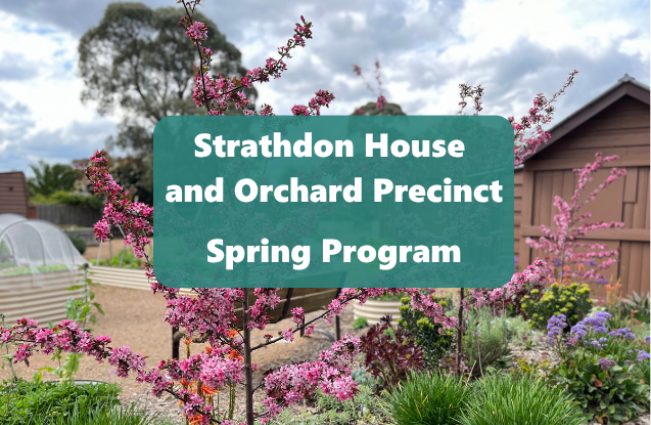 Strathdon House Spring Program 