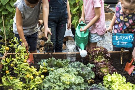 Picture of four kids leaning over a planter box watering and doing gardening