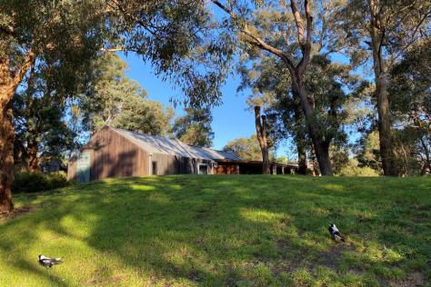 Landscape with grassy hill, two magpies in the foreground and building in the background