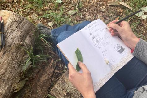 BHCAC nature_journalling