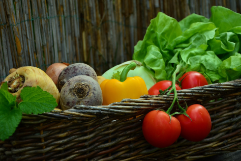 urban harvest