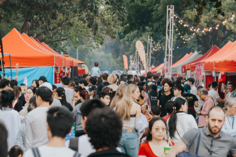 Large crowd of people walking through a street festival