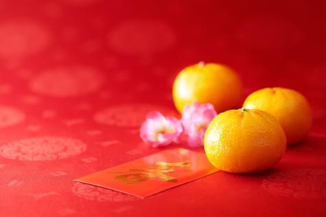 SHOP prepare_share_plant-base_cooking_chinese_new_year_celebration