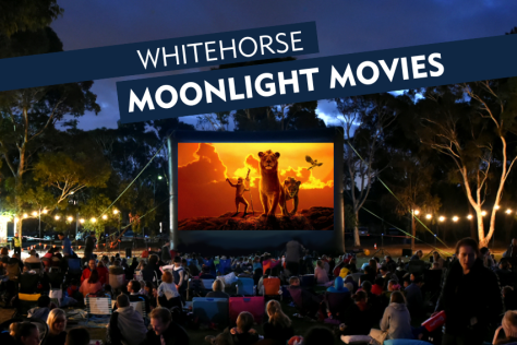 movie screen displaying lions with text advertising the movie night 