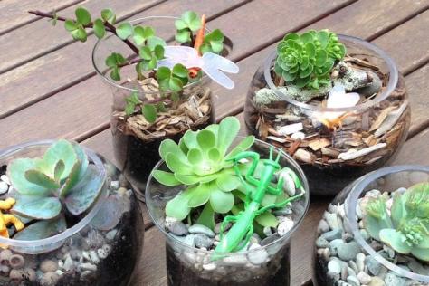 small gardens in a glass terrarium