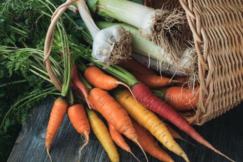 SHOP cooking_from_the_garden_winter_veggie