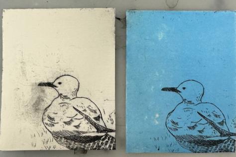 kids Printmaking - Relief-etching of a bird 
