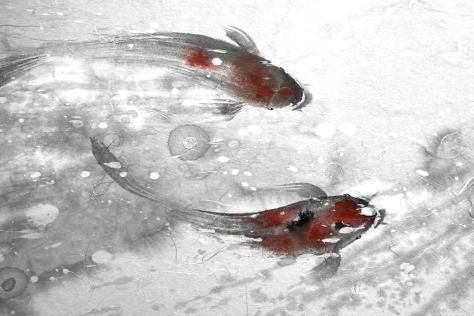 BHCAC koi_junko_azukawa