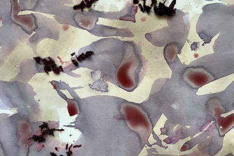 BHCAC Science Week Natural Pigment Laboratory