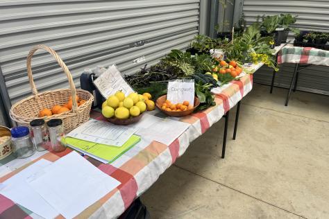 A photo of trestle tables with fresh vegetable and fruit produce covering the tables as a display