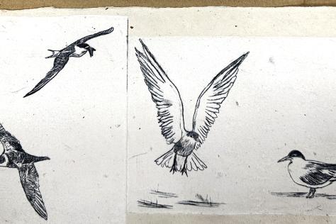 BHCAC Relief etching  - Intaglio and Lino
