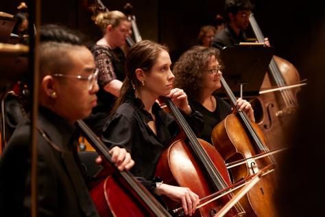 Members of Melbourne Symphony Orchestra play their instruments