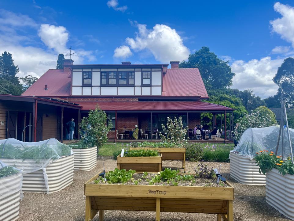 the image is of several raised planter beds and wicking beds in front of a heritage looking house. It's a blue sky with a few white clouds and looks like a lovely sunny day.